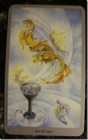 10/13/11: Compassionate Zen | Ace of Cups