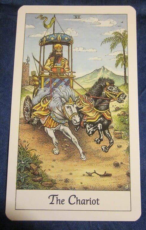 01/04/11: Heart-Driven | The Chariot Everyday Tarot