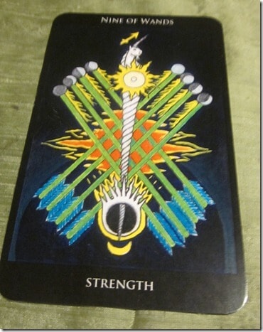 03/16/12: Focused Will Holding Fast | 9 Wands