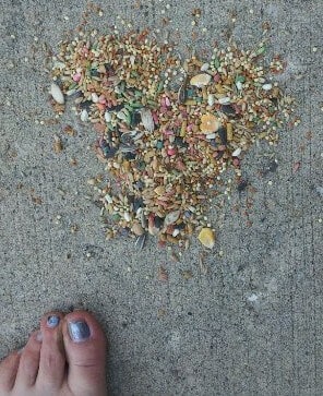 Humble Birdseed Magic Magick