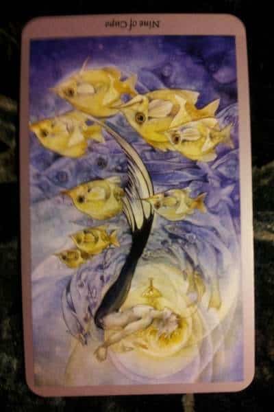03/07/13: Pretty Damned Good / rev 9 of Cups
