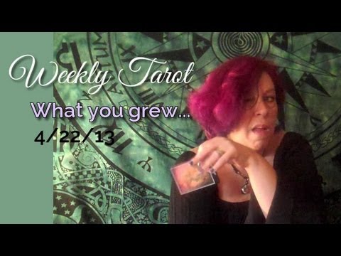 Weekly Forecast, 4/22/13: You Grew it! Everyday Tarot