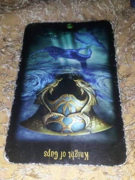 05/05/13: Self-Righteous Drunk / rev Knight Cups Everyday Tarot