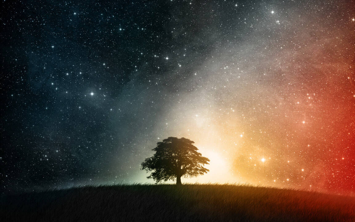 Just Fix Yourself: Weekly Tarot Forecast, Dec 7 – 13