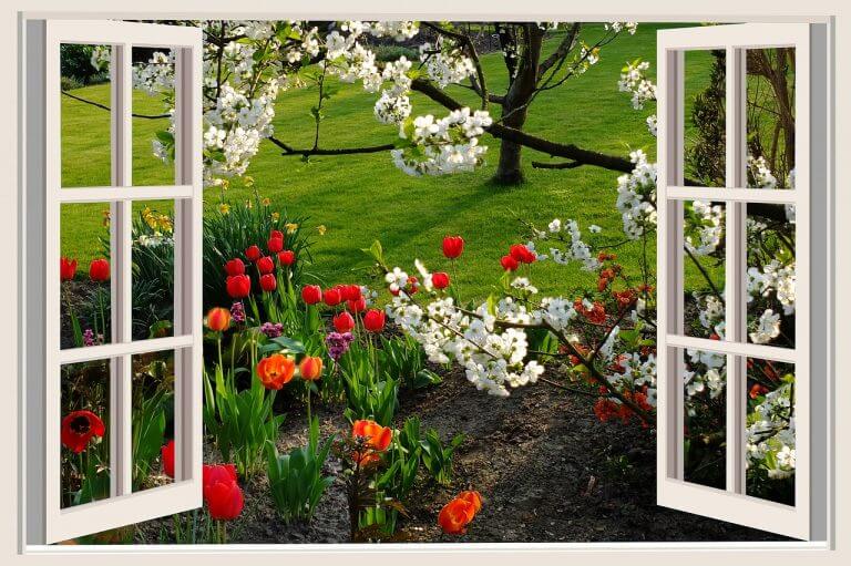 Jump through that window! Weekly Tarot, 05/29/17
