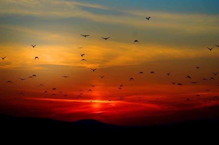 Temperance & The Sun: Airtime for Optimism