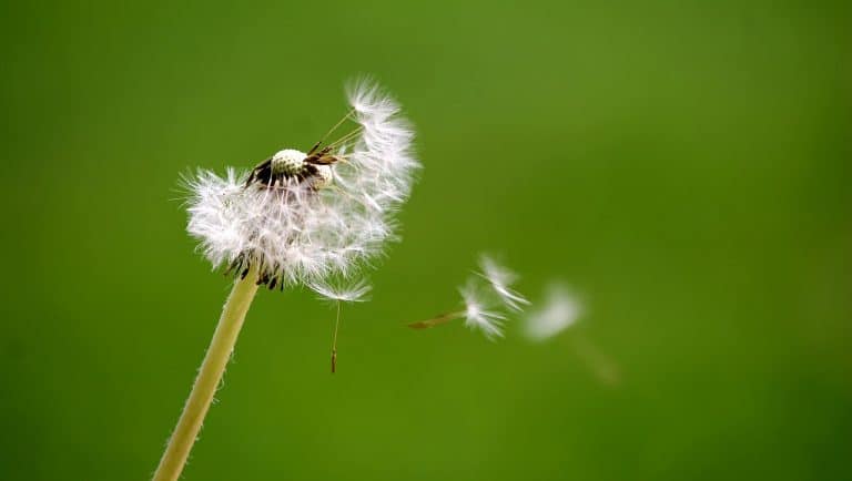 Helping Your Reader: Breathe
