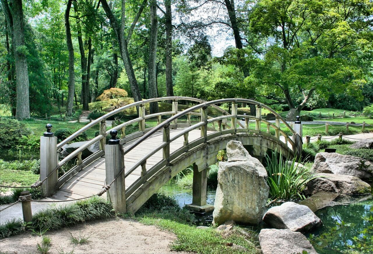Two of Cups Rx: Use the Bridge